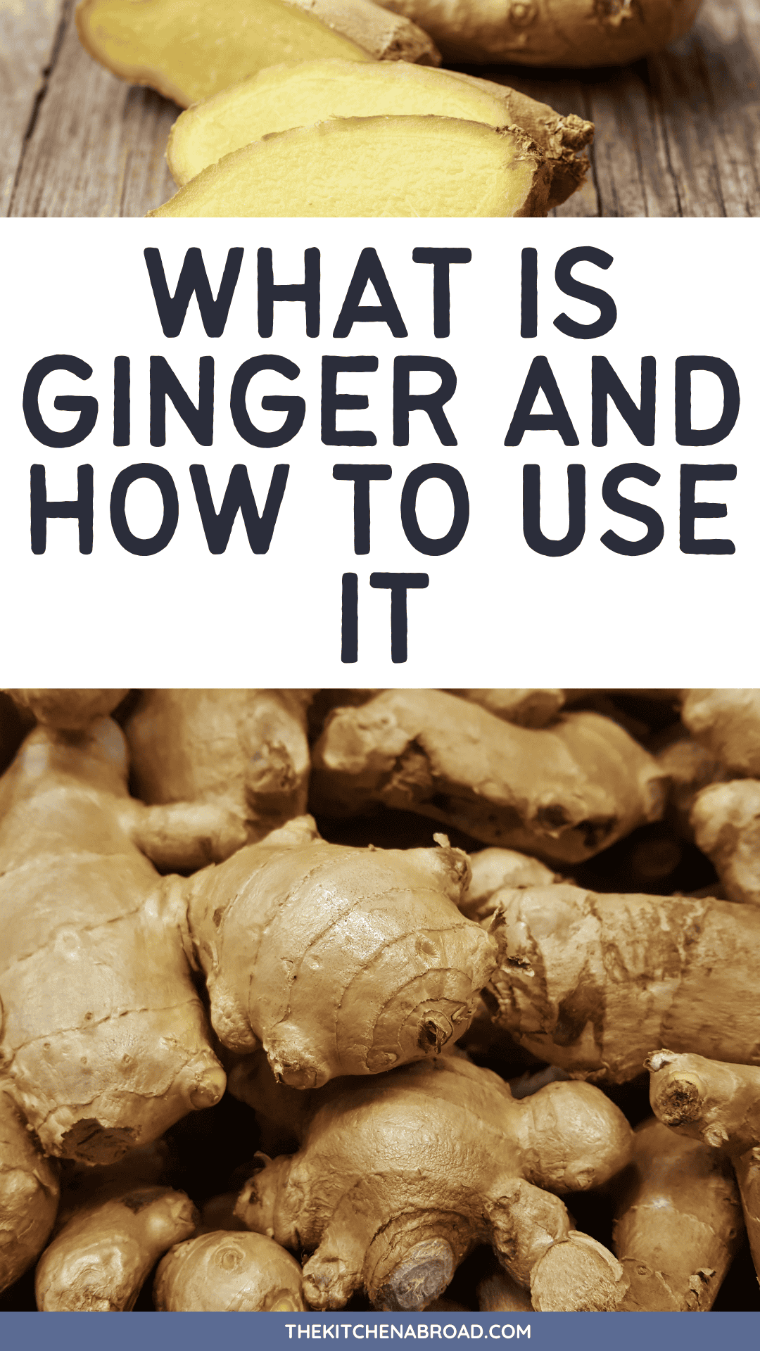 What is Ginger?