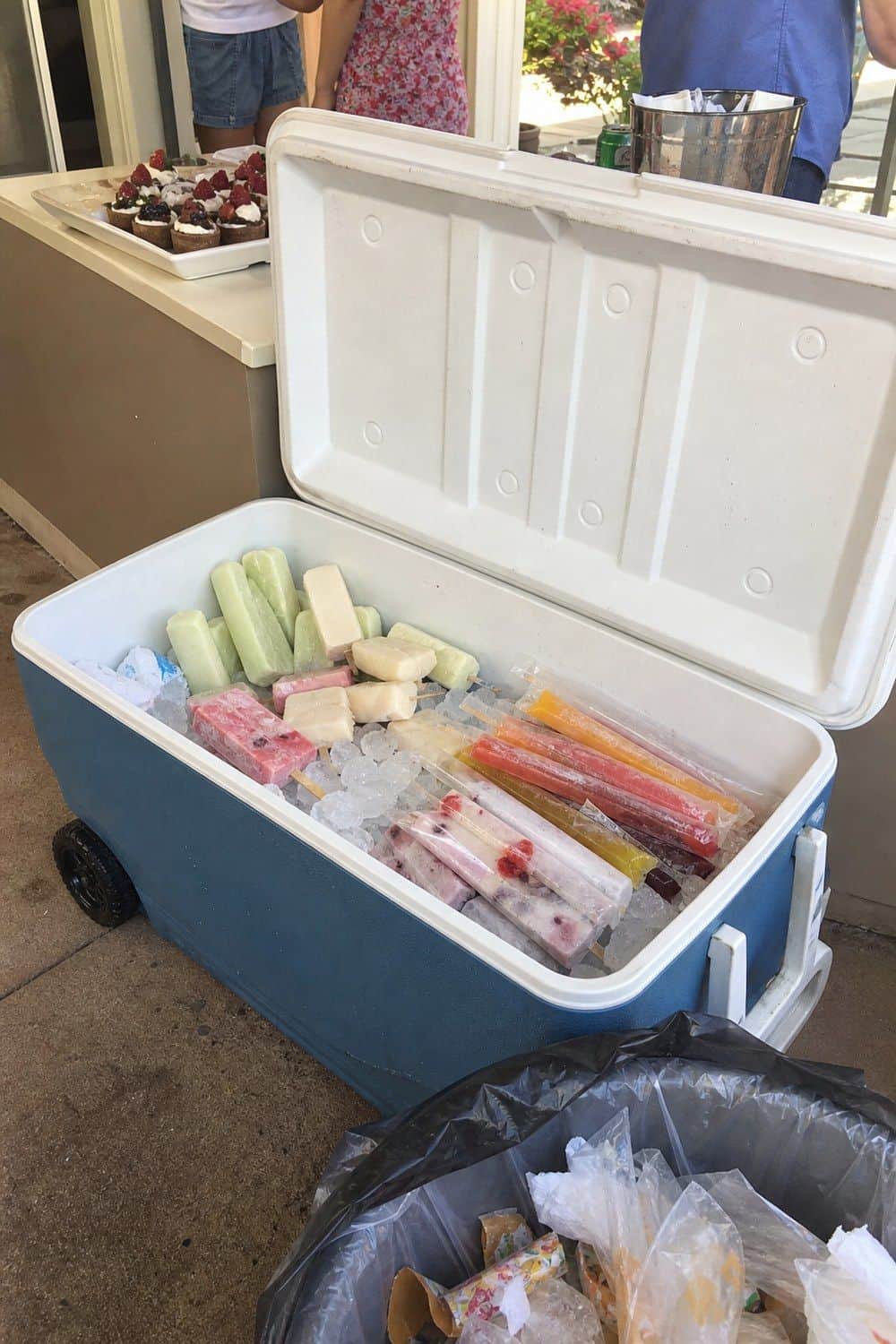 25 Graduation Party Food Ideas for a Crowd-Friendly Buffet Serve Ice Pops From a Cooler for a graduation party buffet