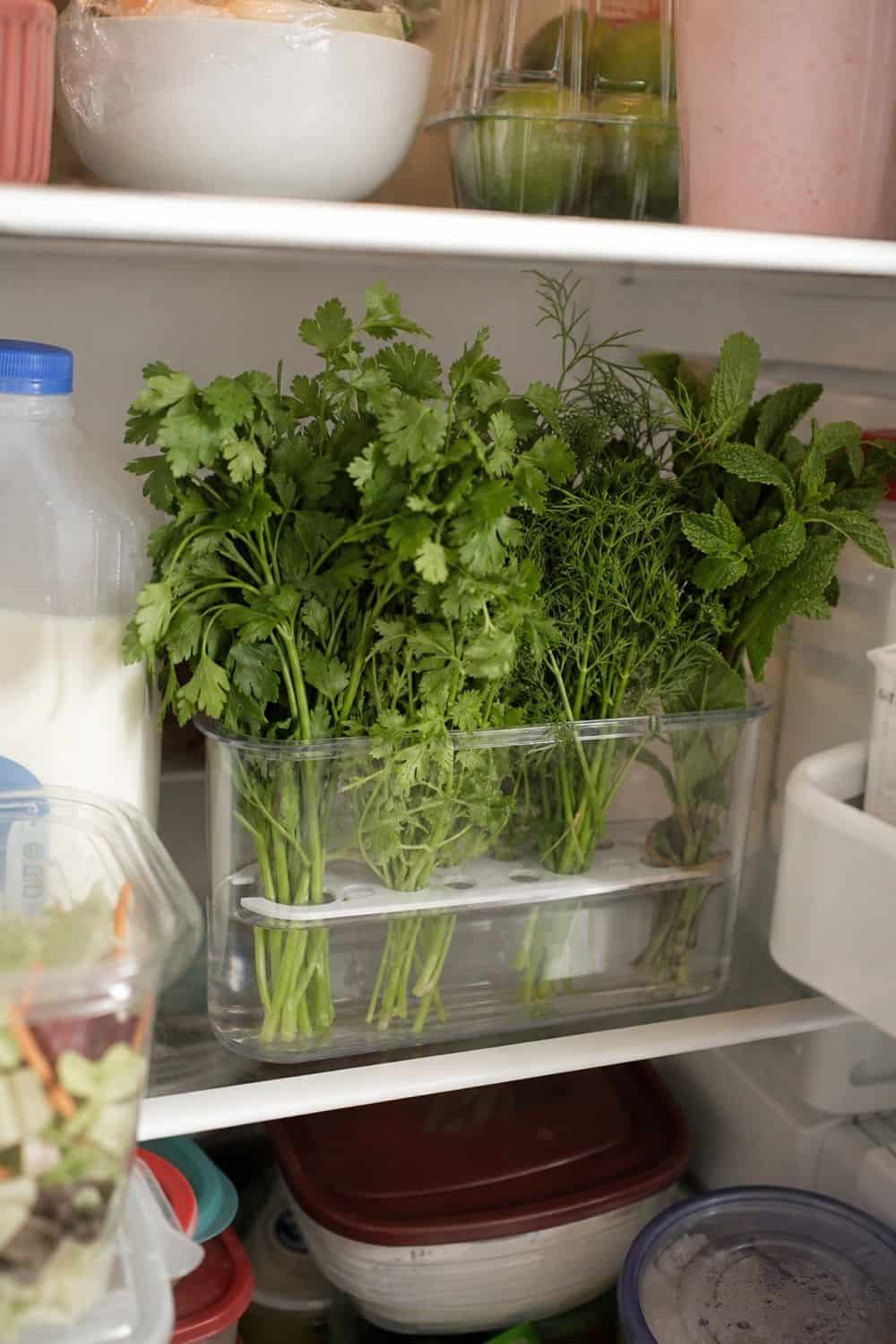 20 Herb Storage Ideas That Keep Food Fresh 2. Use a Dedicated Herb Keeper for 20 Herb Storage Ideas That Keep Food Fresh