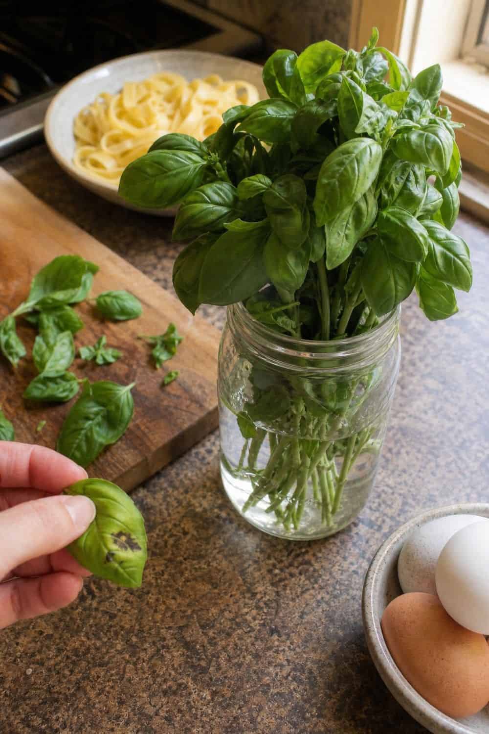 20 Herb Storage Ideas That Keep Food Fresh 3. Make a Basil Counter Station for 20 Herb Storage Ideas That Keep Food Fresh