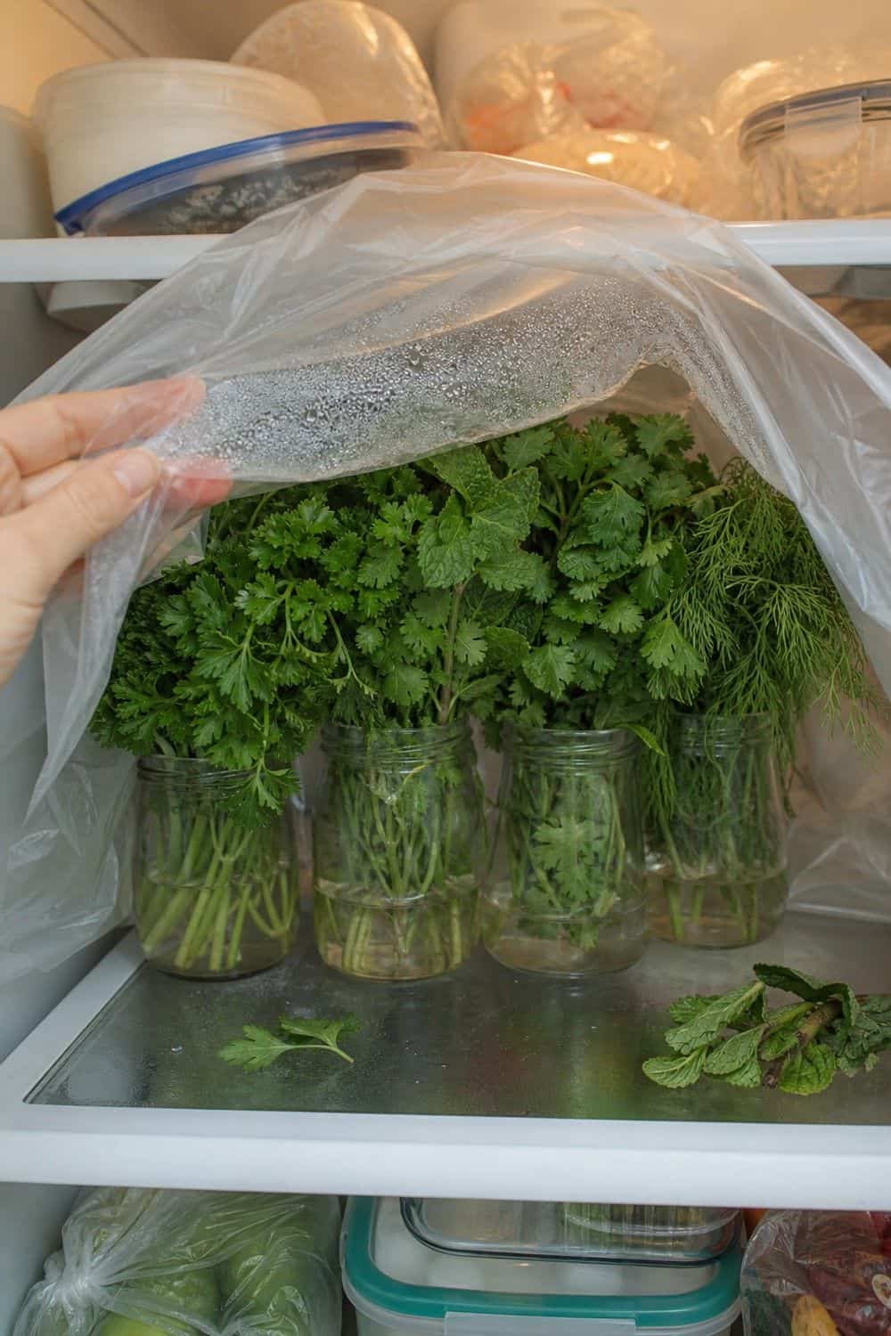 20 Herb Storage Ideas That Keep Food Fresh 4. Add a Loose Cover for Fridge Herb Bouquets for 20 Herb Storage Ideas That Keep Food Fresh