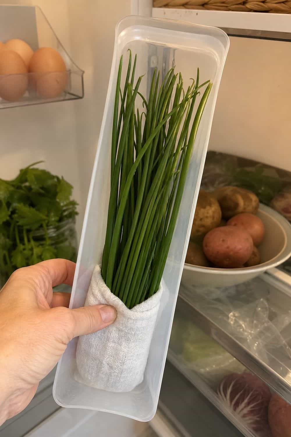 20 Herb Storage Ideas That Keep Food Fresh 8. Keep Chives in a Sleeve for 20 Herb Storage Ideas That Keep Food Fresh