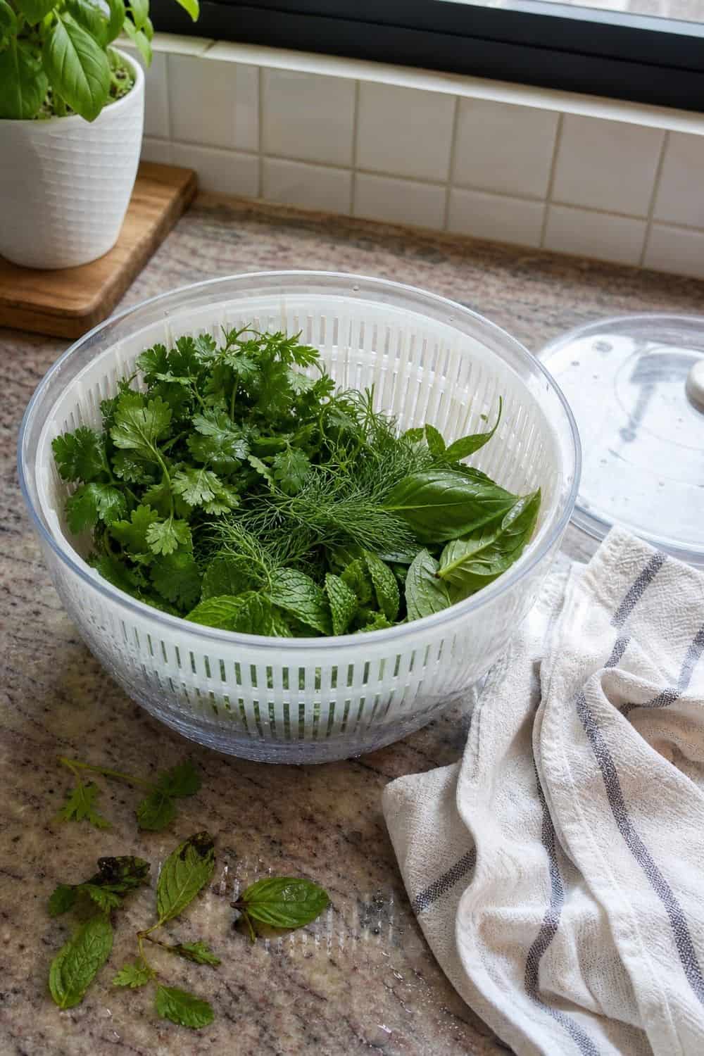 20 Herb Storage Ideas That Keep Food Fresh 9. Dry Washed Herbs in a Spinner for 20 Herb Storage Ideas That Keep Food Fresh