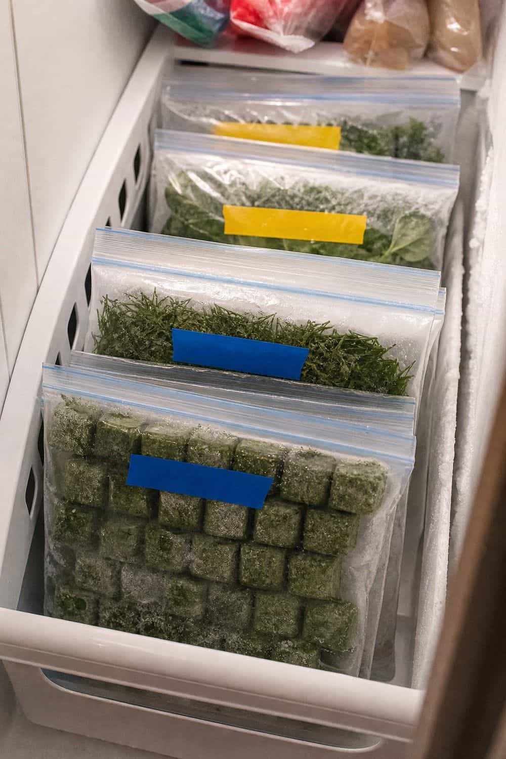 20 Herb Storage Ideas That Keep Food Fresh 14. File Frozen Herbs in Labeled Bags for 20 Herb Storage Ideas That Keep Food Fresh