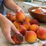 How to Store Peaches: Ripen, Chill and Freeze Them Right