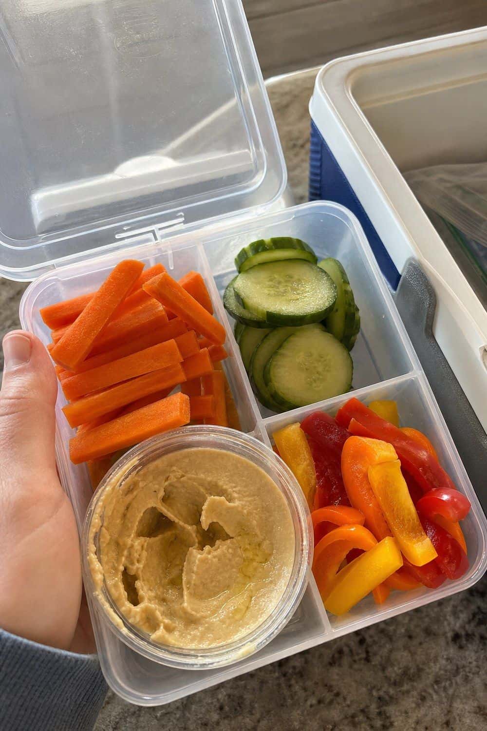 8. Hummus and Veggie Stop Box