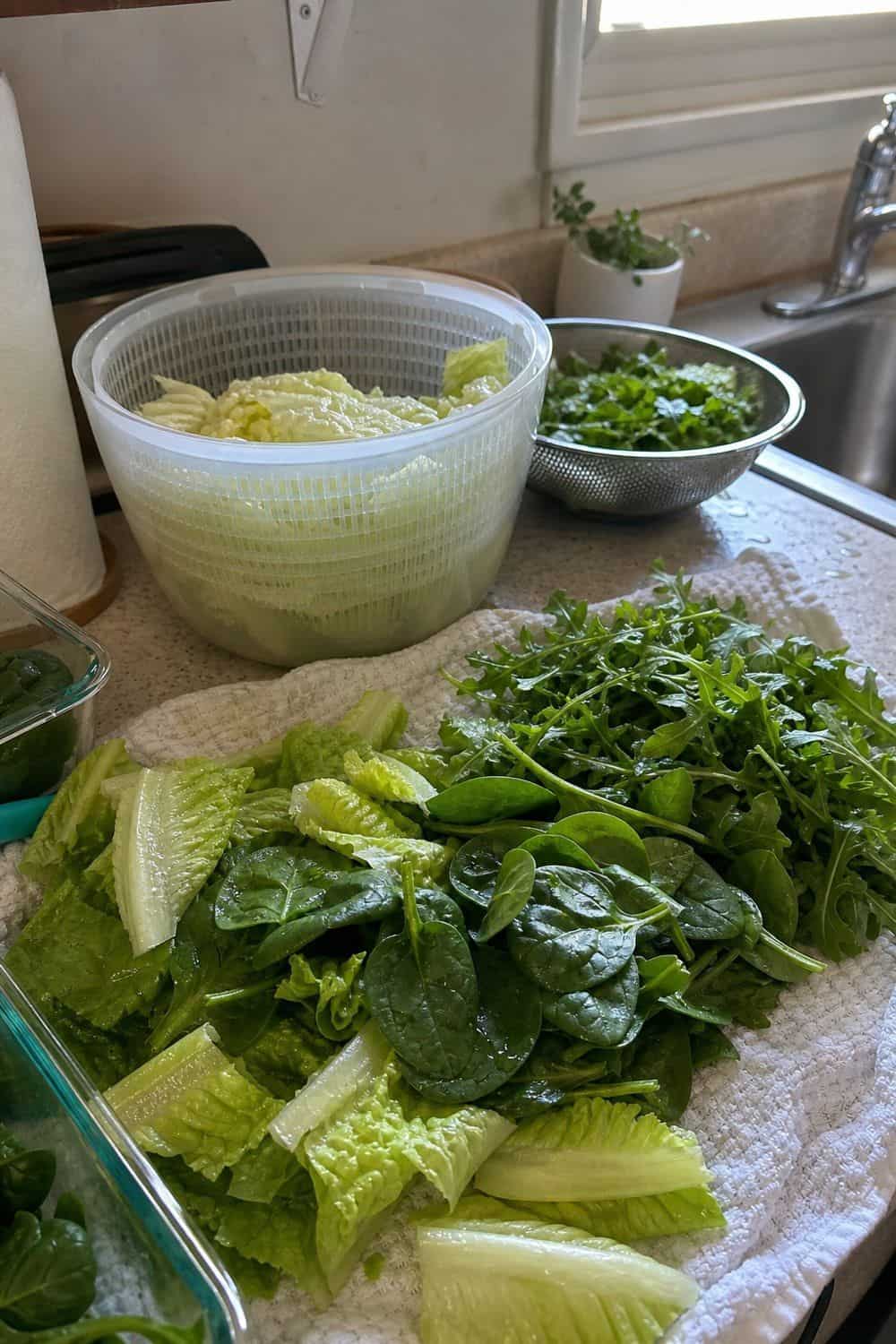 summer meal prep section 02 wash and dry greens for cold bowls