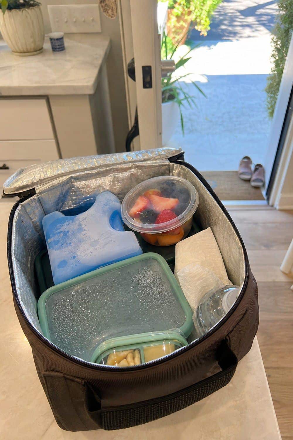 summer meal prep section 18 pack one cold lunch bag for errands or outdoor days