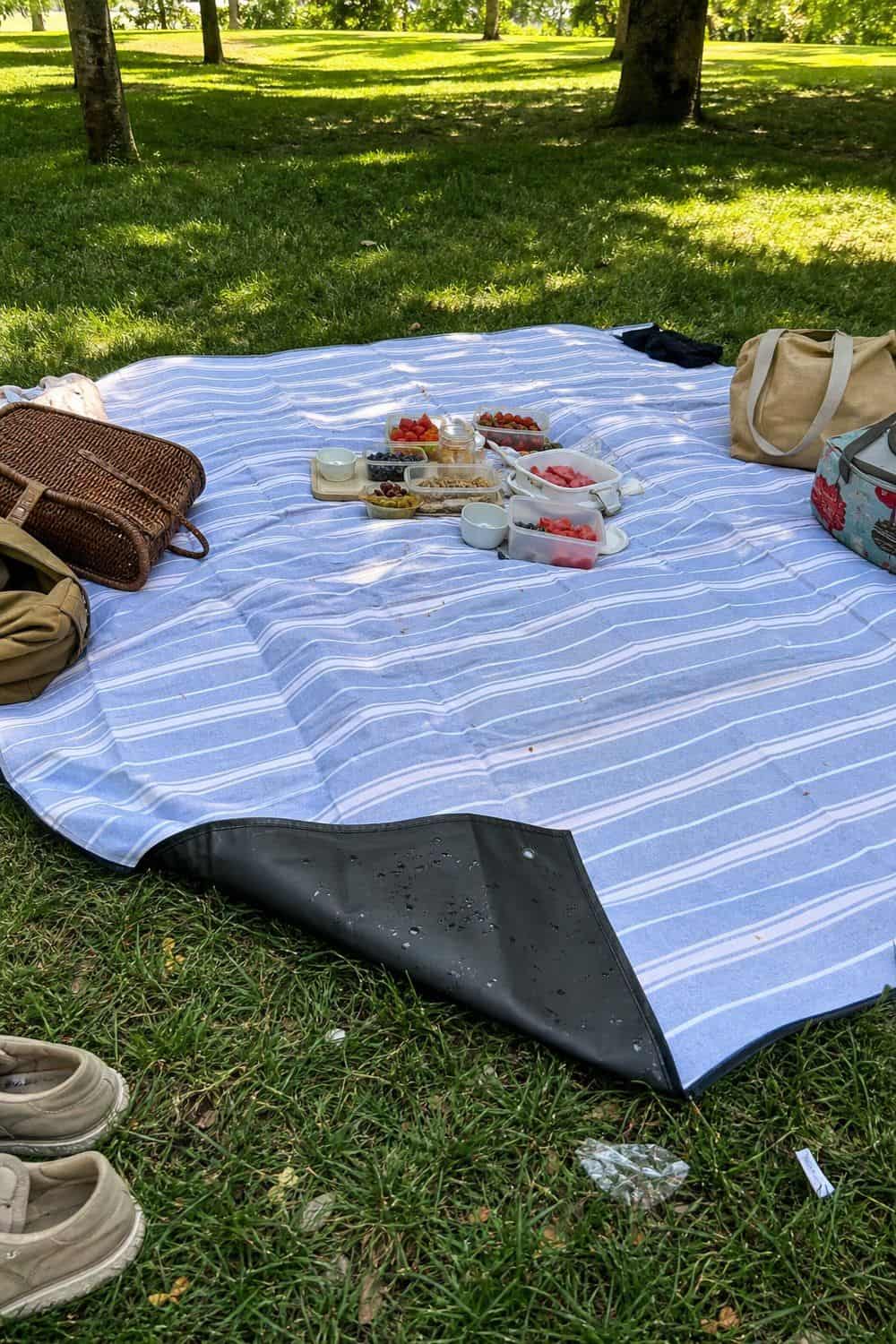 25 Summer Picnic Party Hosting Ideas for Hot-Weather Gatherings 11. Main-Zone Waterproof Picnic Blanket for a summer picnic party