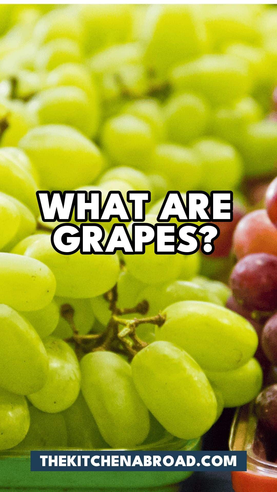 Pinterest pin for What Are Grapes? And 5 Best Alternatives!