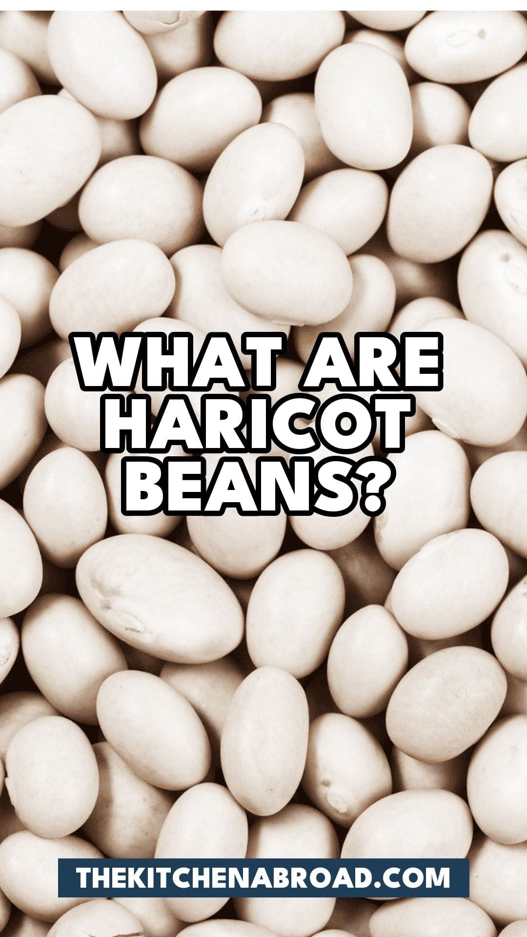Pinterest pin for What Are Haricot Beans? And 5 Best Alternatives!