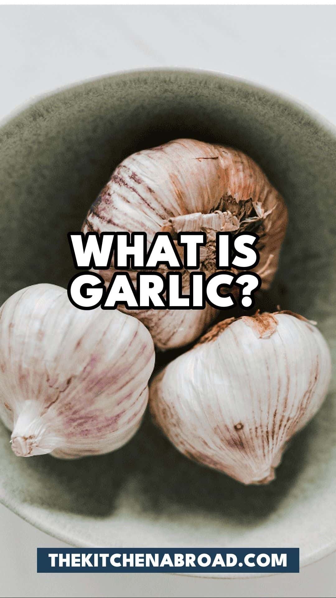 What Is Garlic? And 5 Best Alternatives! Pinterest pin for What Is Garlic? And 5 Best Alternatives!