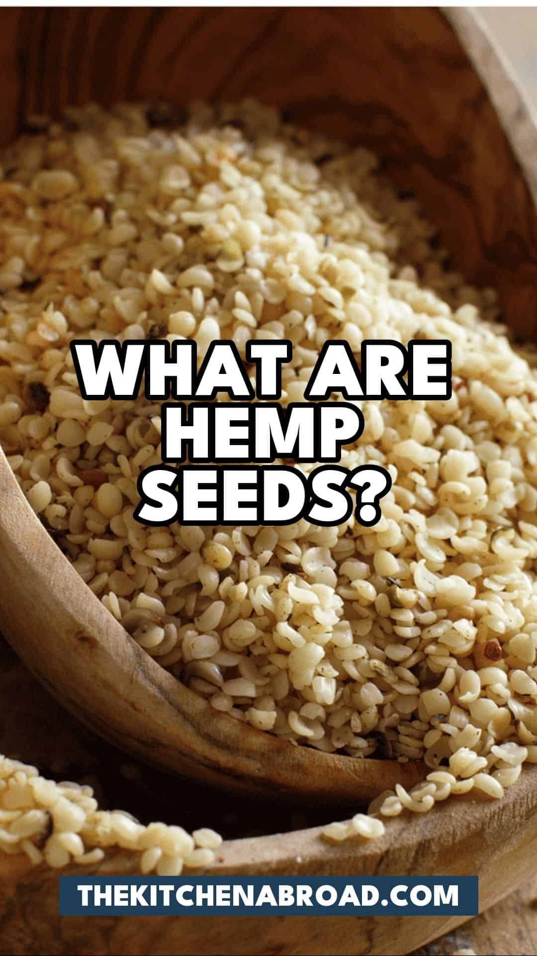 Pinterest pin for What Are Hemp Seeds? And 5 Best Alternatives!
