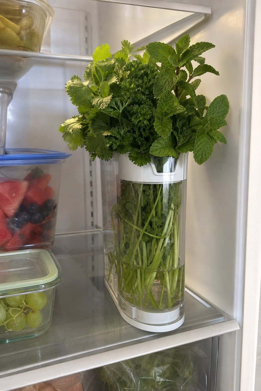 20 Aesthetic Fridge Ideas for a Cleaner, Prettier Fridge aesthetic fridge ideas 09