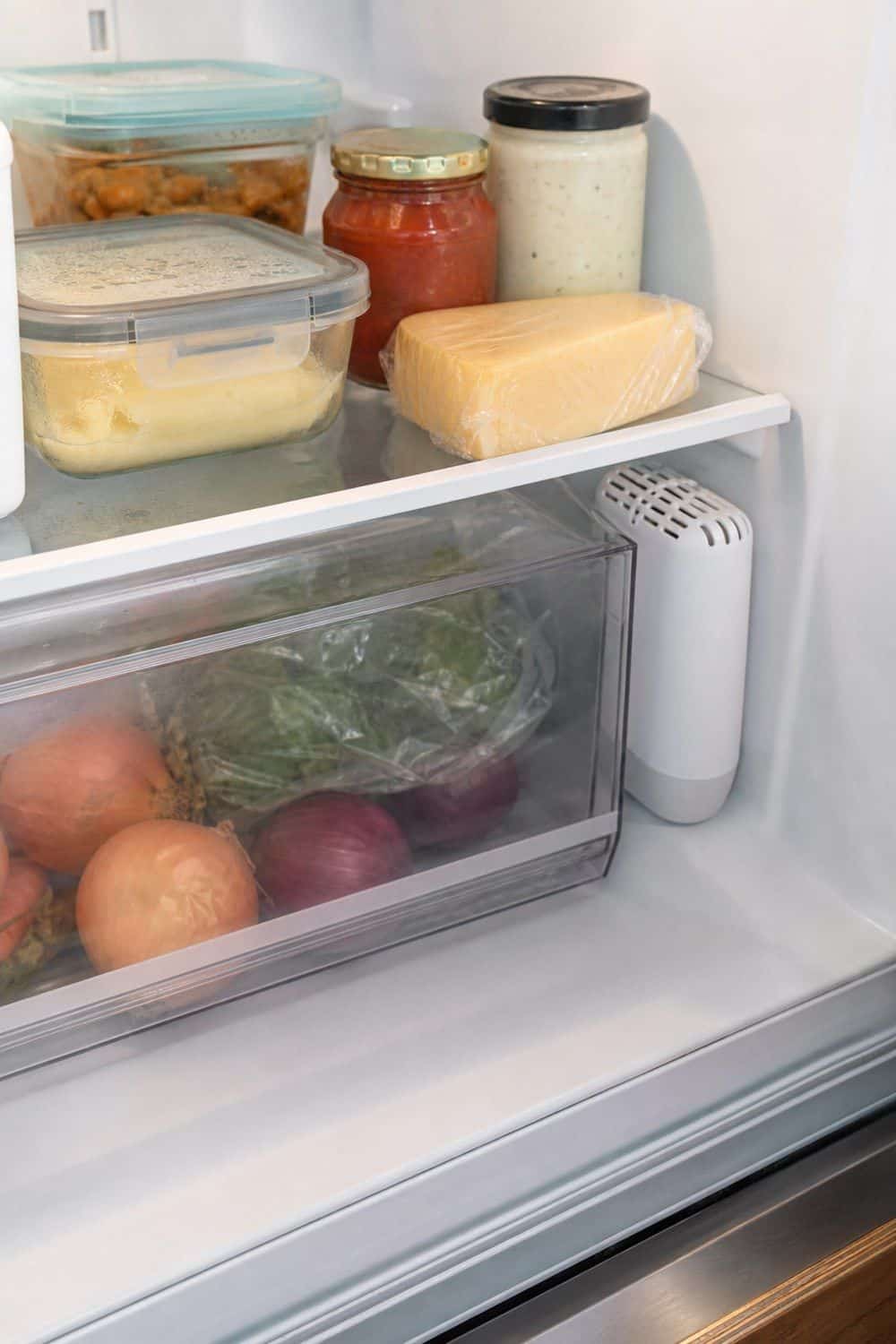 20 Aesthetic Fridge Ideas for a Cleaner, Prettier Fridge aesthetic fridge ideas 19