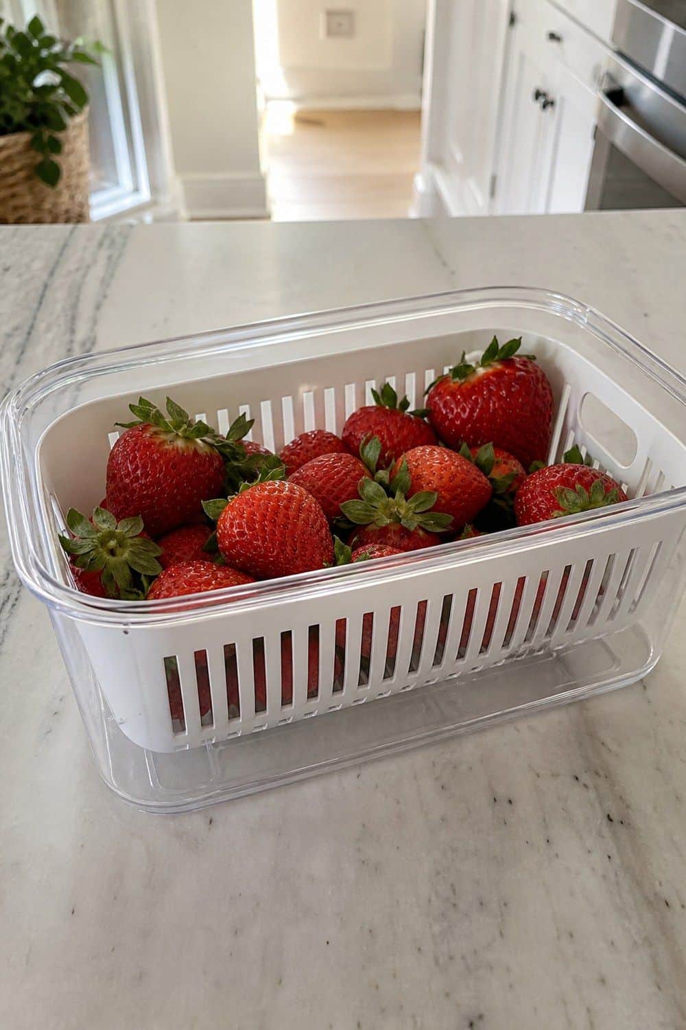 4. Strawberries in a Ventilated Berry Keeper