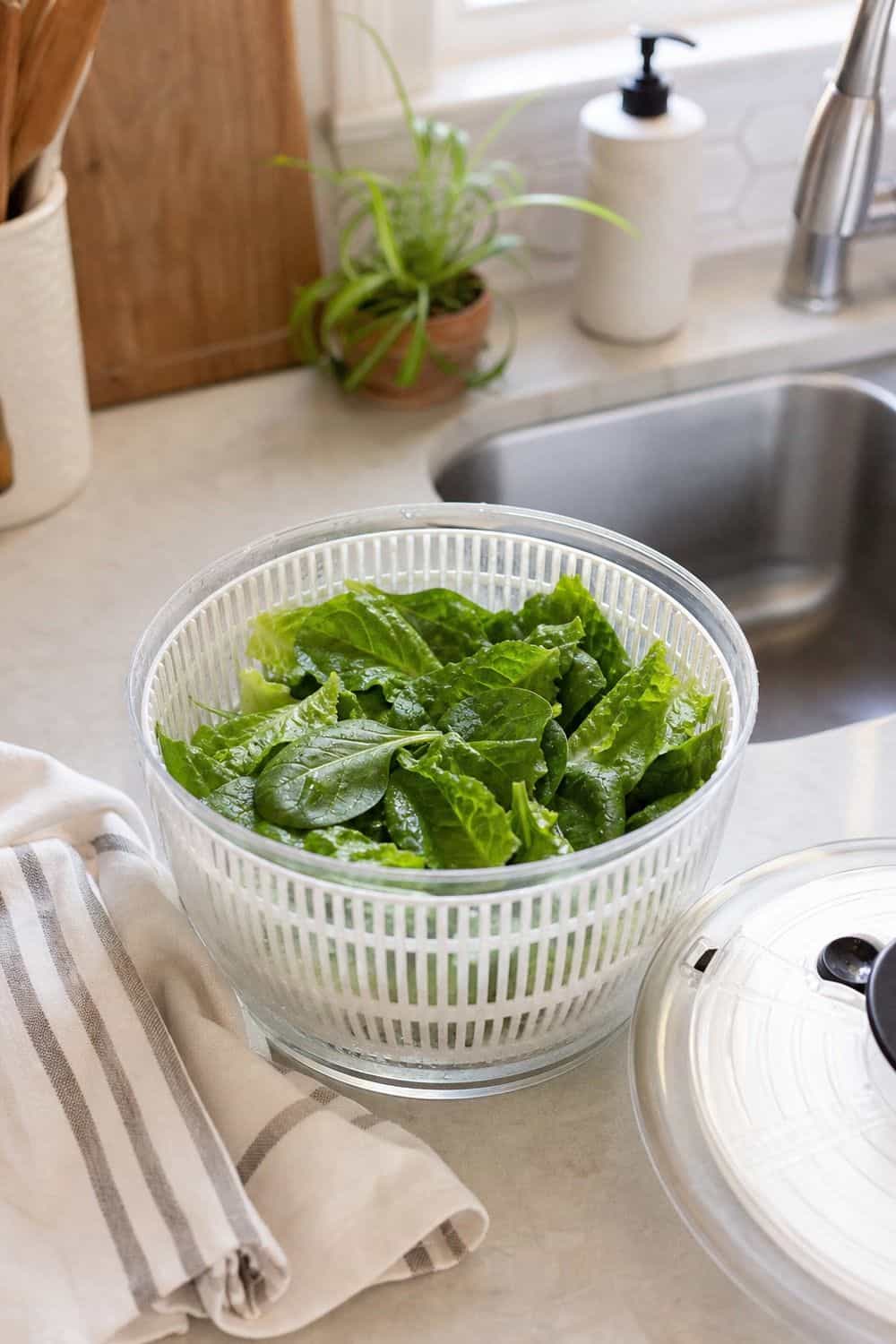 20 Produce Washing and Storage Routine Ideas produce washing and storage routine section 05
